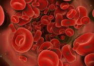 Cos’è l’Anemia, i sintomi e le cause