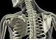 La Metodica Lionese: riabilitazione della spalla